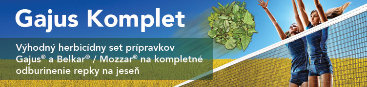 Gajus Komplet
