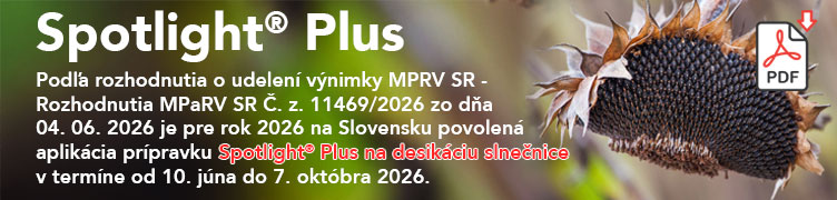Spotlight Plus