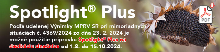 Spotlight Plus
