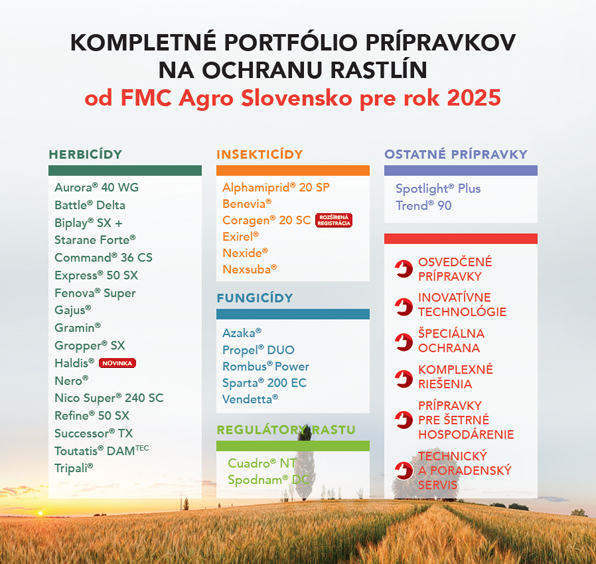 Portfólio 2025