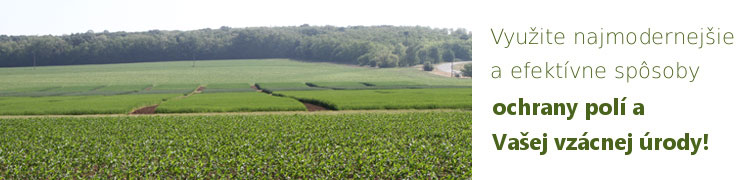 Titulka